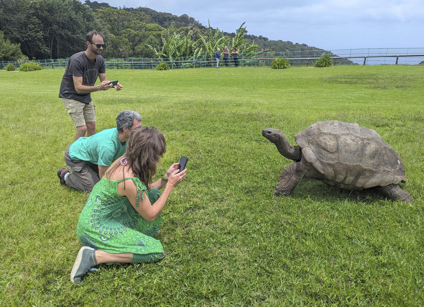 Jonathan the 193-year-old Tortoise Thriving Despite Rumors