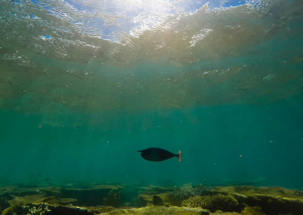 Exploring the Potential of Ocean Floor Energy for Electric Vehicles