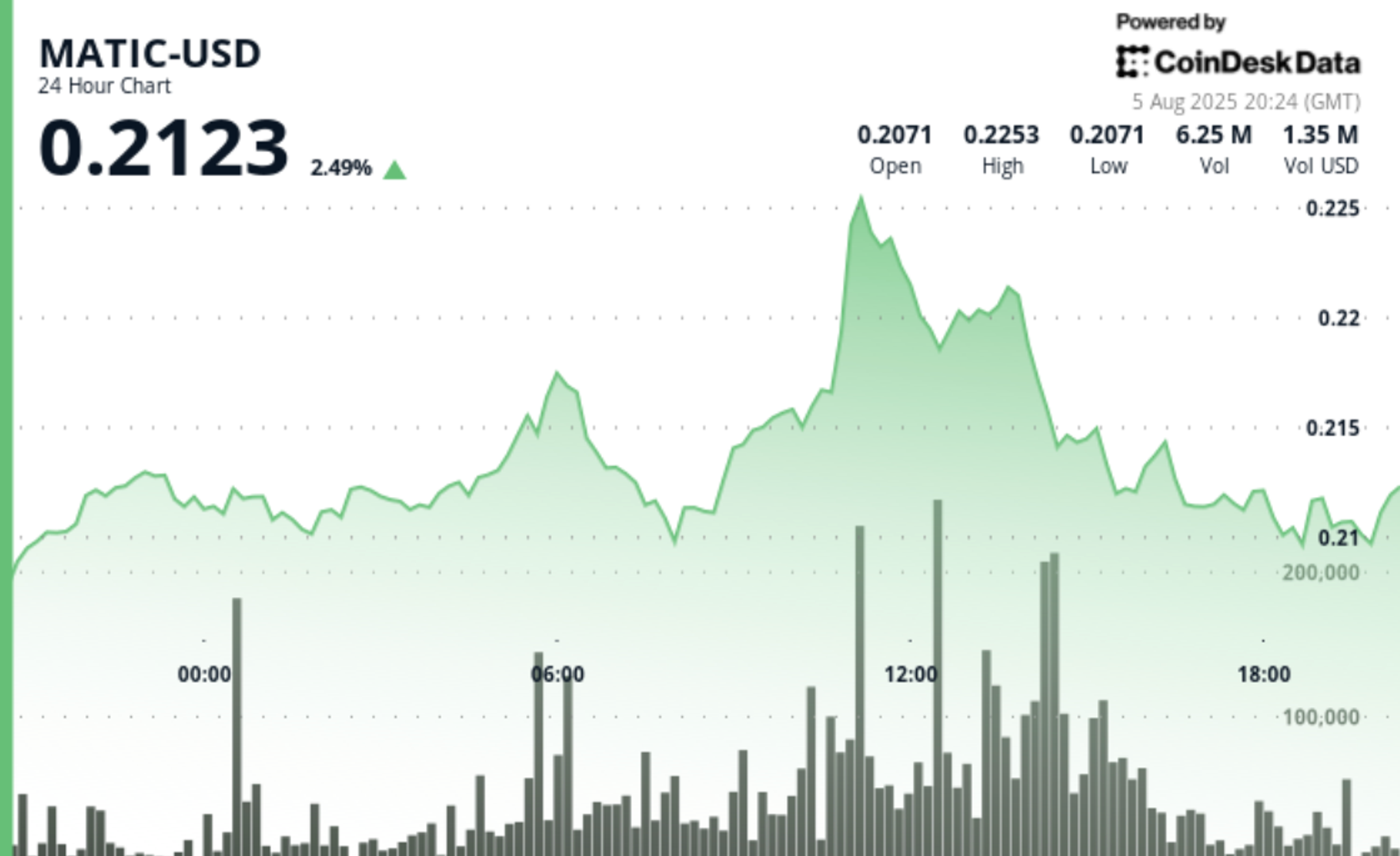 Polygon's Price Rises 3% in Strong Performance