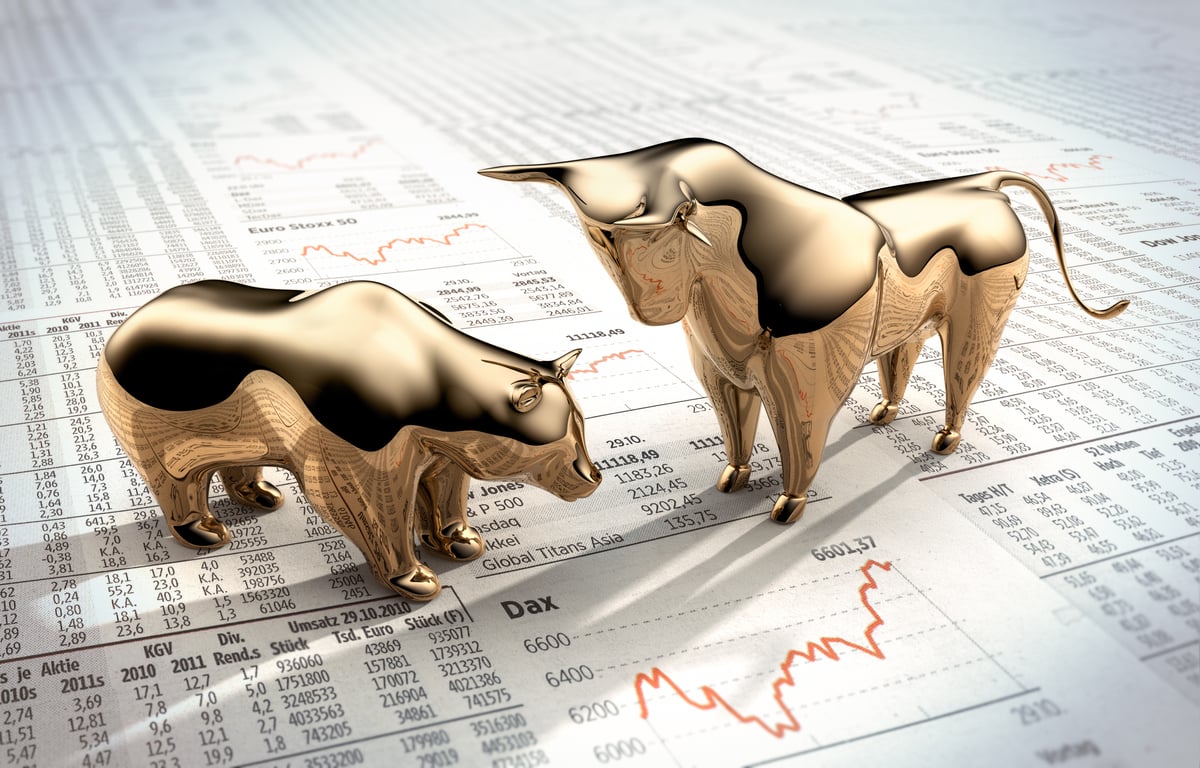 Insights for Investors: What to Expect in the Stock Market Over the Next 12 Months
