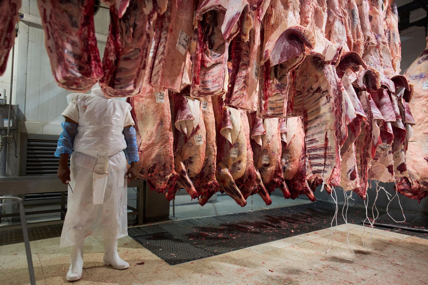 President Trump authorizes more beef imports from Argentina amid rising consumer prices