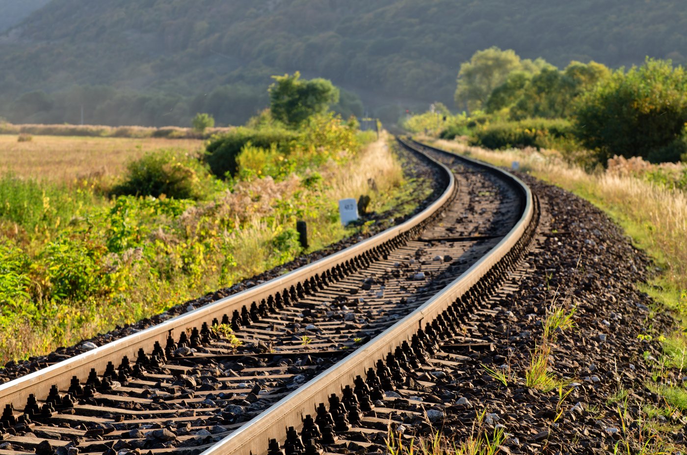 Top Dividend Stocks with Potential Growth at Discounted Prices