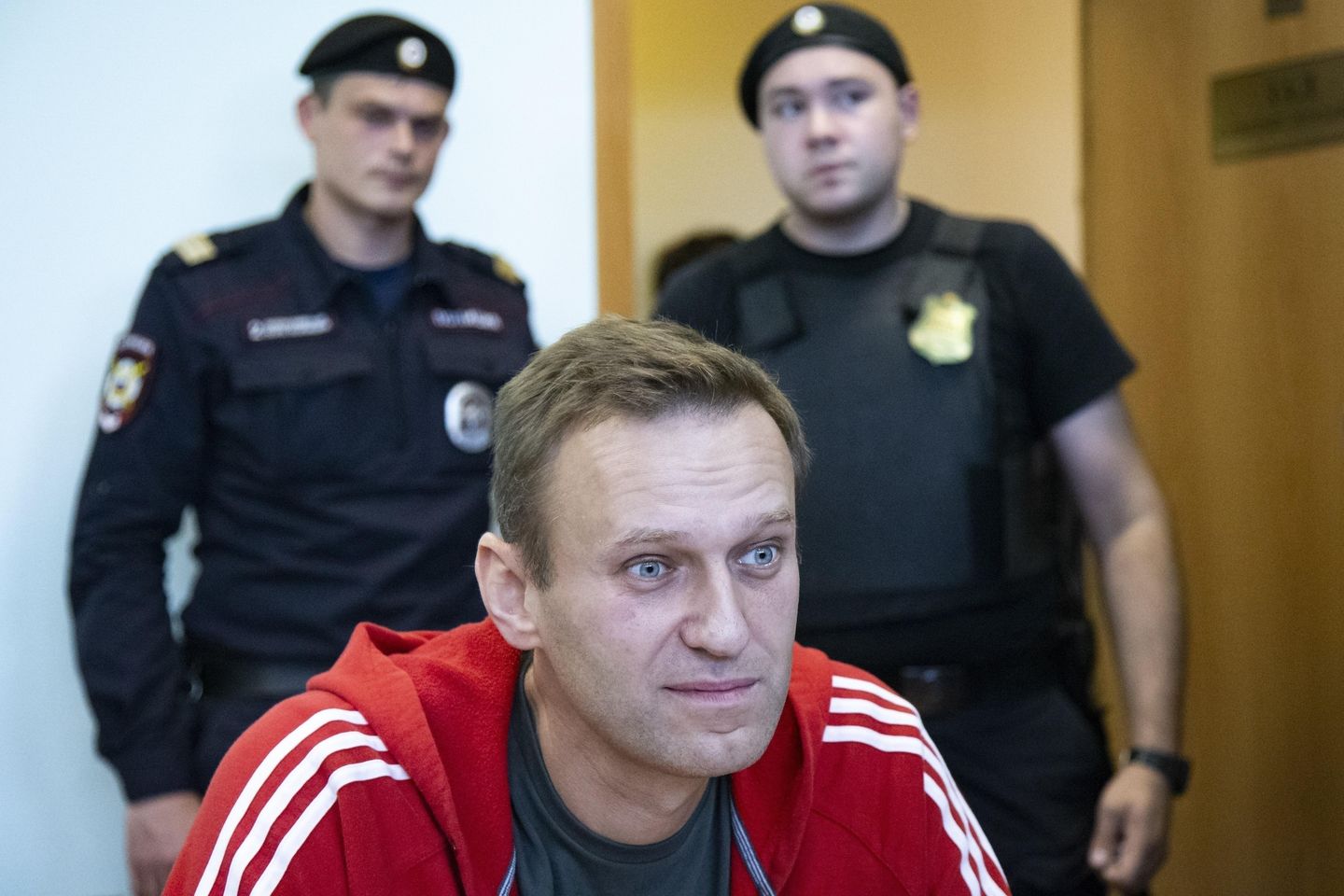 European Nations Accuse Russia of Using Frog Poison to Kill Navalny