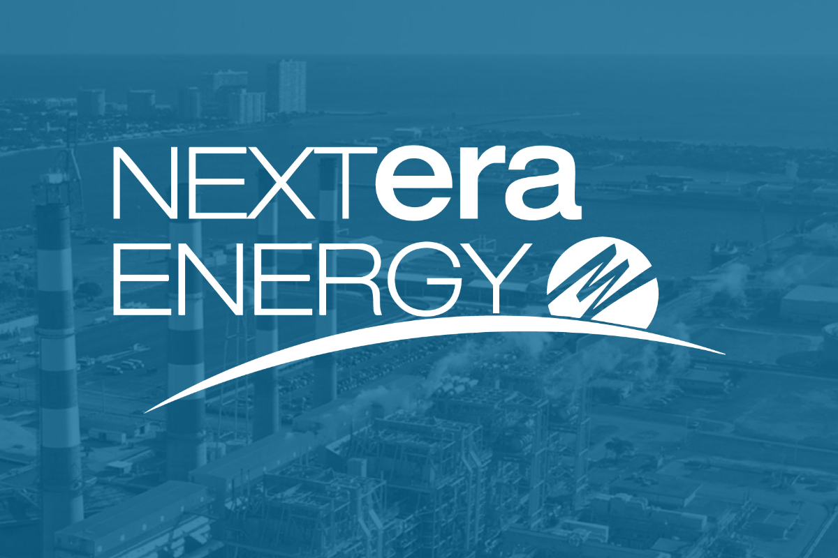 NextEra Energy Inc: A Closer Look at Its Recent Earnings Performance
