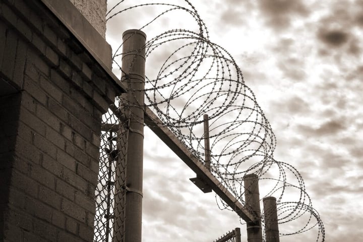 FTX's Caroline Ellison Release Sparks Controversy