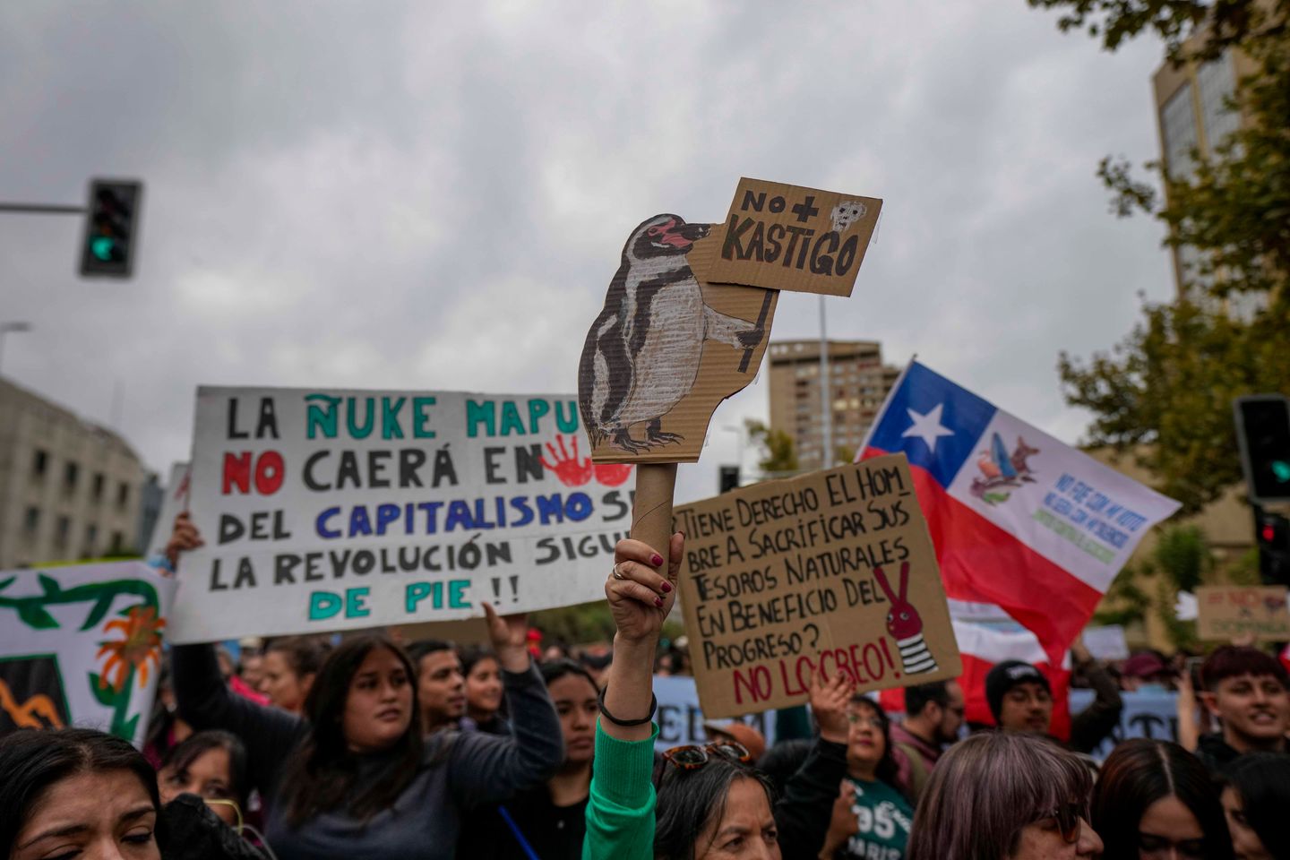 Chileans Protest President Kast's Environmental Rollback on World Water Day