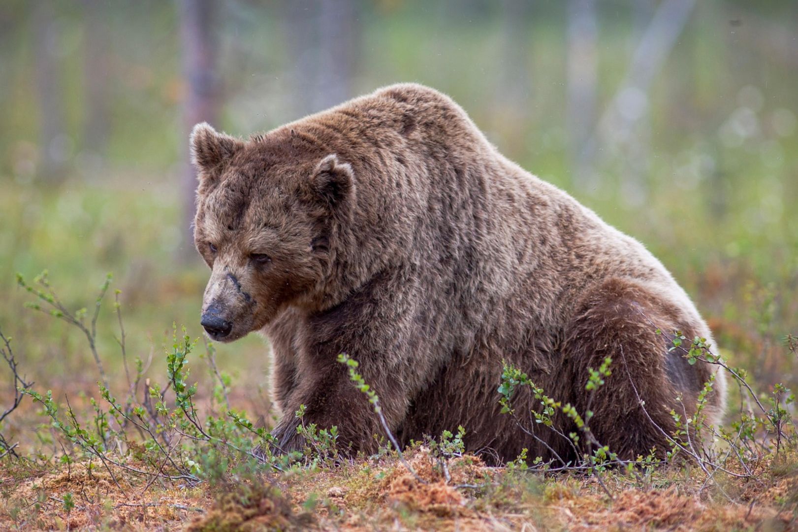 Cryptocurrency Companies Lay Off Employees Due to Market Downturn and AI Advancements