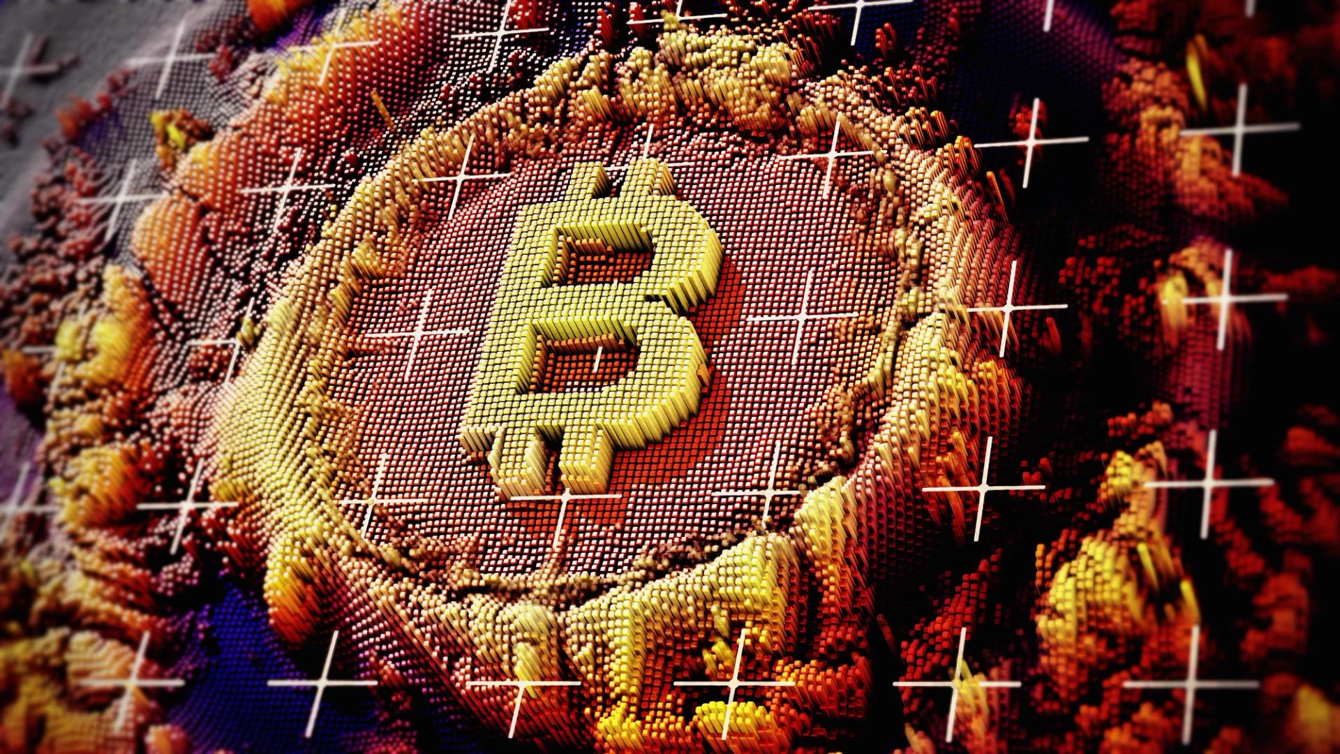 Bitcoin Purists Remain Unfazed by Market Crash, See Opportunity Amidst Losses