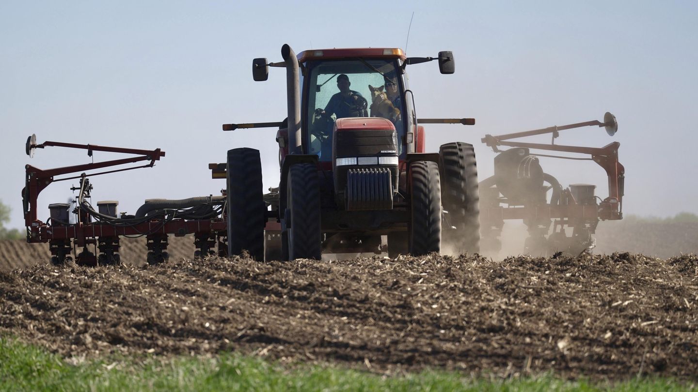 China Demands Removal of US Tariffs Before Resuming Soybean Purchases